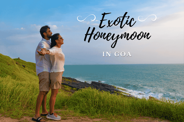 7ctnq8hhpwgjjdx2jkwvq0li5ewt honeymoon%20in%20goa