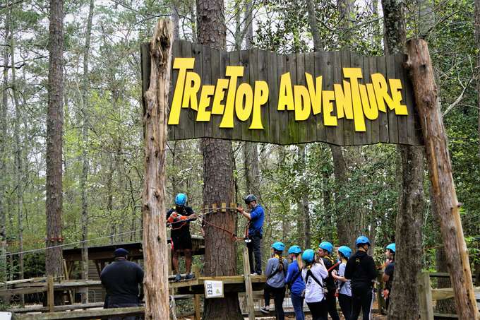 Treetop Challenge