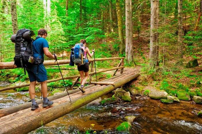 Trekking And Snorkeling At Elephant Beach Image