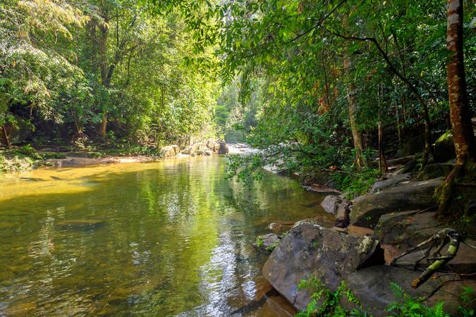 Sinharaja Forest Reserve
