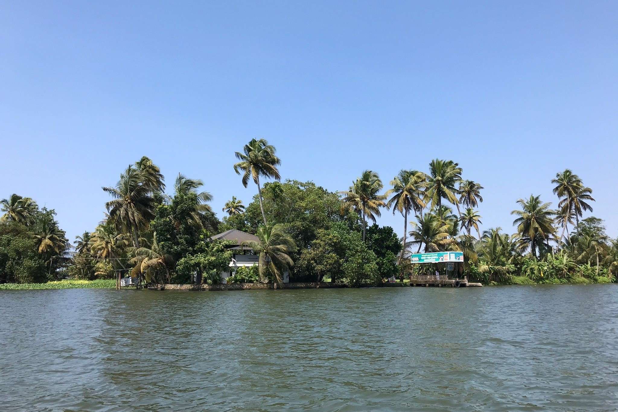 Immerse yourself in the serenity of Punnamada Lake during your 8-hour Alleppey sightseeing tour