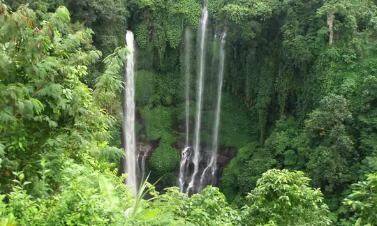 Bali Hidden Waterfalls Trip Image