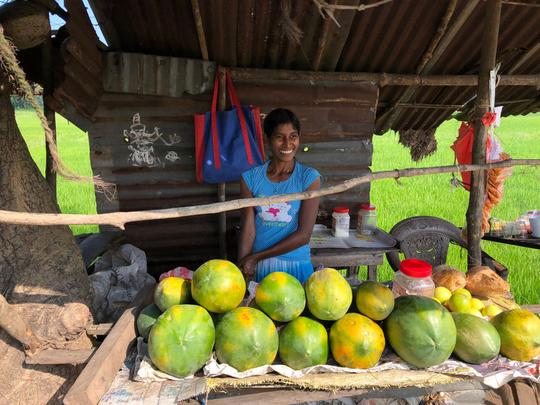 Dambulla Village Tour Image
