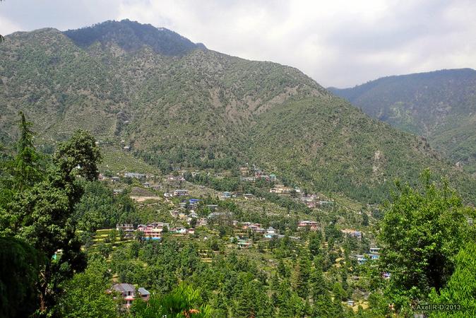 Dharamkot