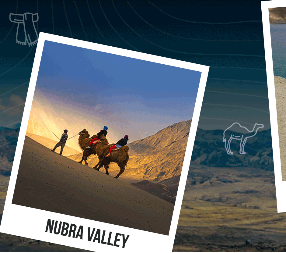 Leh Ladakh Tour Package In November Image