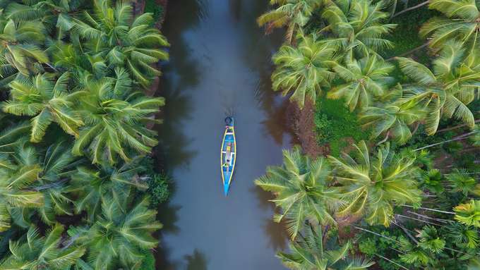 Aerial view of boating in Kerala backwaters