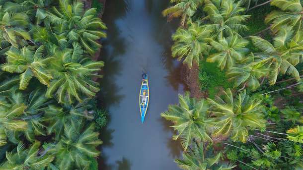 Aerial view of boating in Kerala backwaters