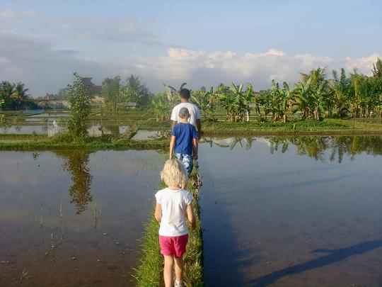 Scenic Rice Field Trekking in Ubud Image