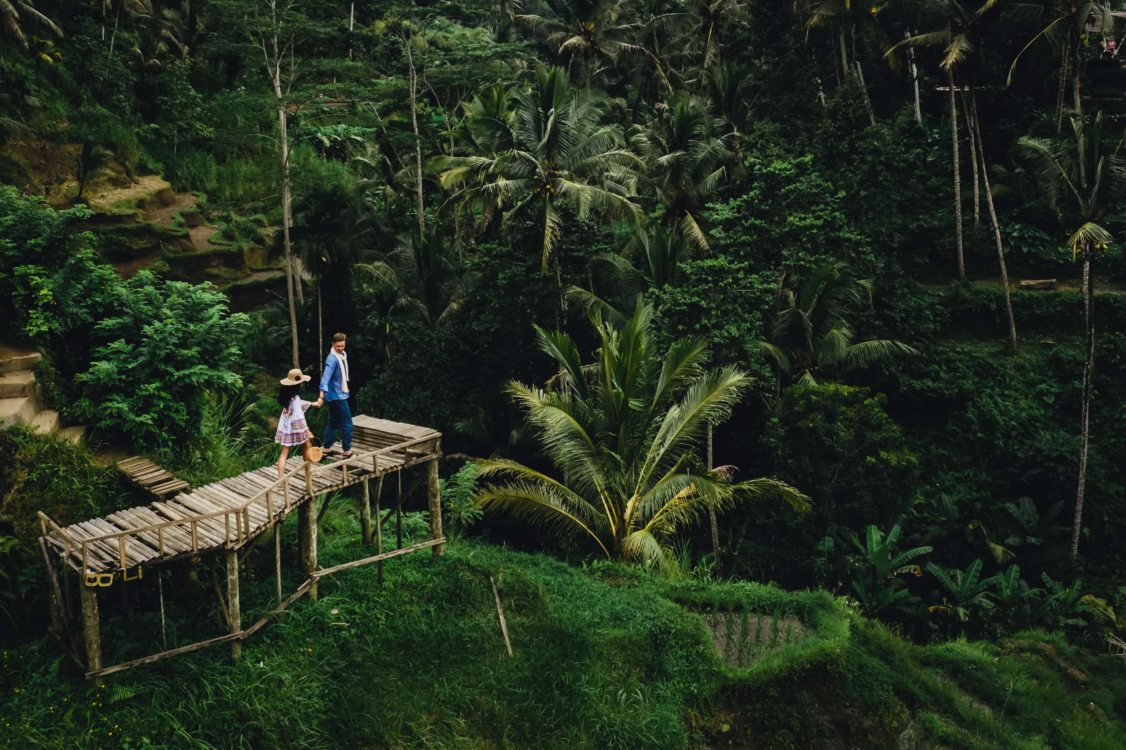 Explore the lush green rice terraces of Bali