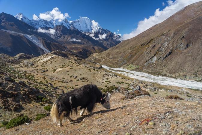 Thukla Pass, Nepal