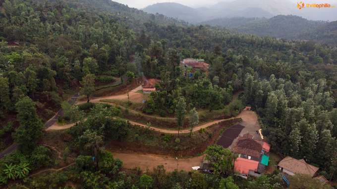 Estate Stay in the Lush Plantations of Chikmagalur