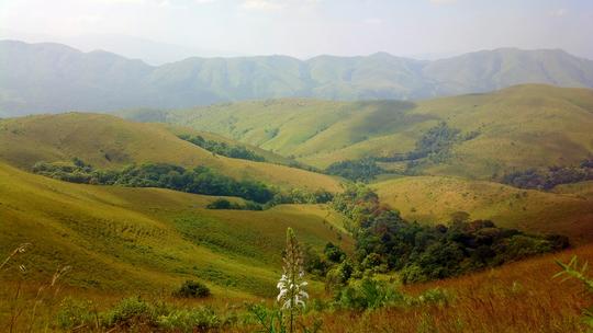 Offroad Jeep Ride In Kyathanamakki | Flat 9% Off Image