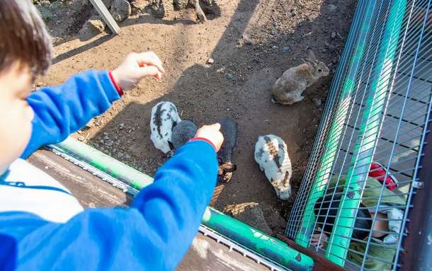 7k43trcjijqucf8r0p1iqpg7d08y 1597347543 44