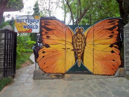 Butterfly Park In Hyderabad Image