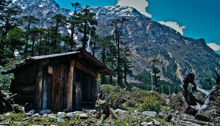 Honeymoon trip to Sikkim with Ravangla | FREE Meals at lachen lachung Image