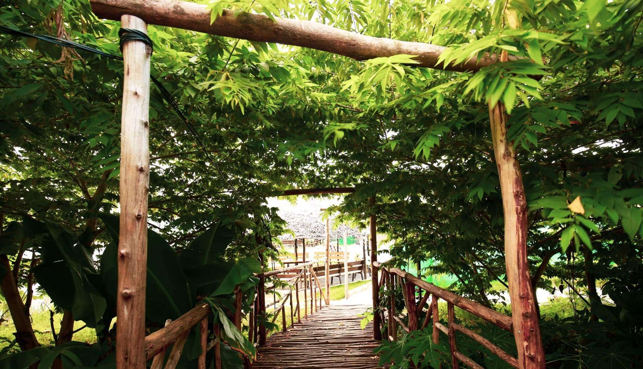 Camping With Adventure Activities In Kanakapura Image