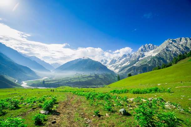 7m862fyu2teipz9i8mmobqw921av s2o1jl7zf7ls7o29sbppv133tlpc shutterstock 394895584