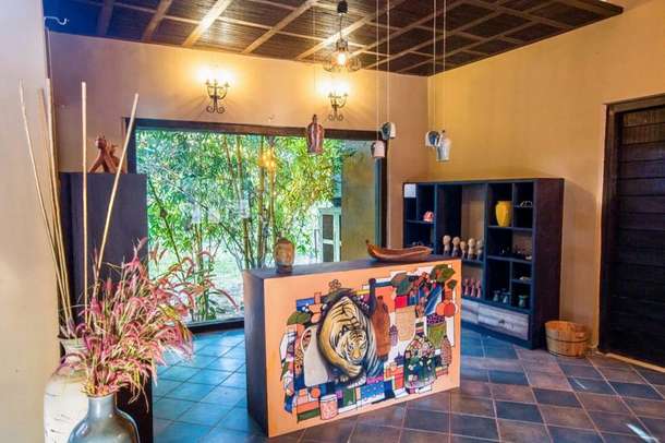 7mlckx3isf4drhpk31h0dz70dcm5 1587810630 curio shop