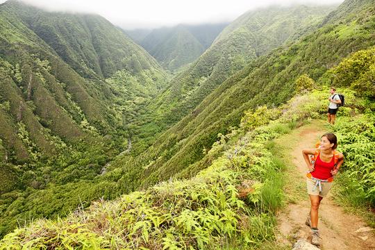 Phulara Ridge Trek Image