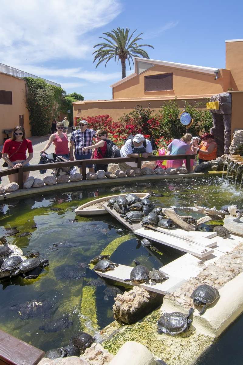 Marineland Mallorca Tickets Image