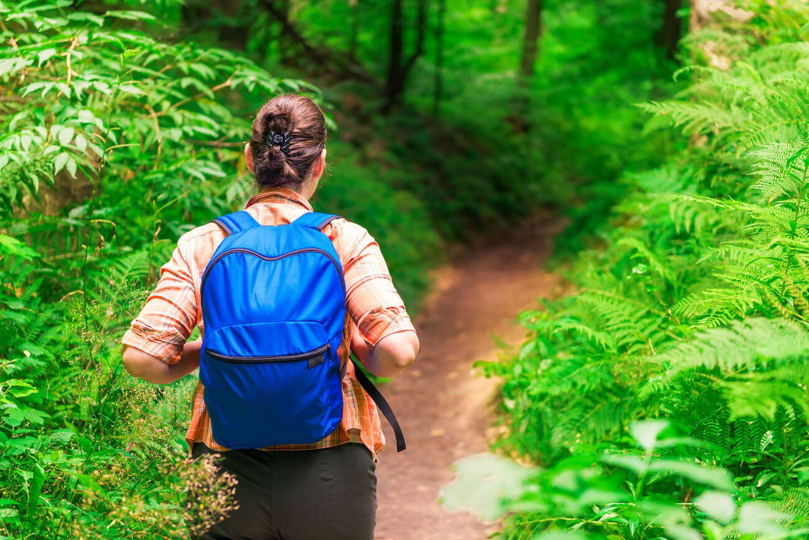 Experience breathtaking views and adventure on Mount Harriet trek