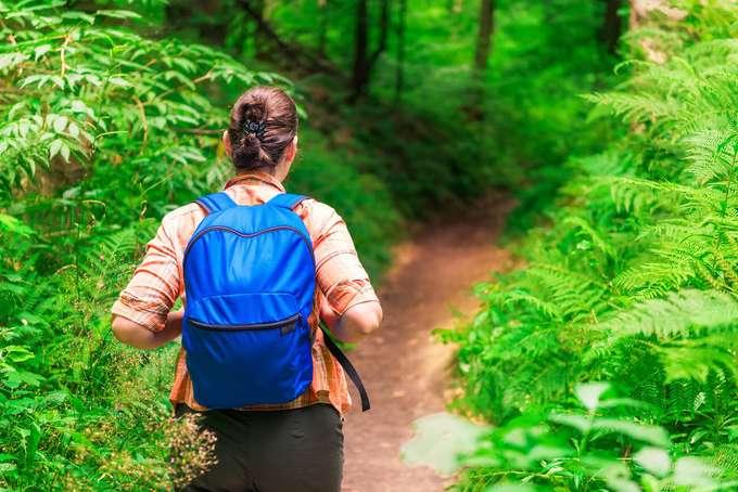 Experience breathtaking views and adventure on Mount Harriet trek