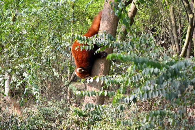 Pant Wildlife Sanctuary