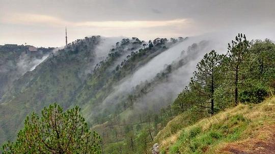 Jungle Trek In Kasauli Image