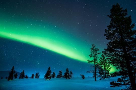Dog Sledding And Northern Lights Expedition, Norway Image