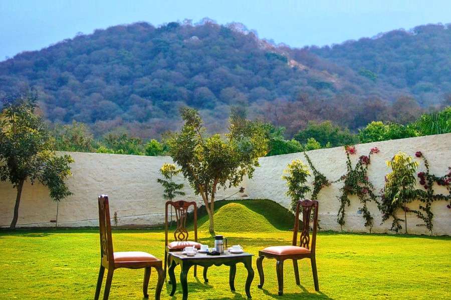 Mount Valley Nature Image