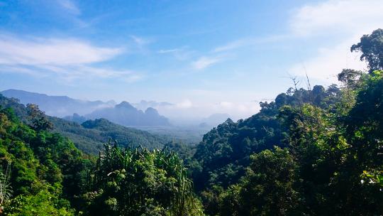 Khao Sok Day Tour Image