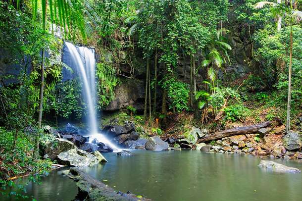 7rc3azz0dlyxm67t60cj01cohxg3 tamborine gallery