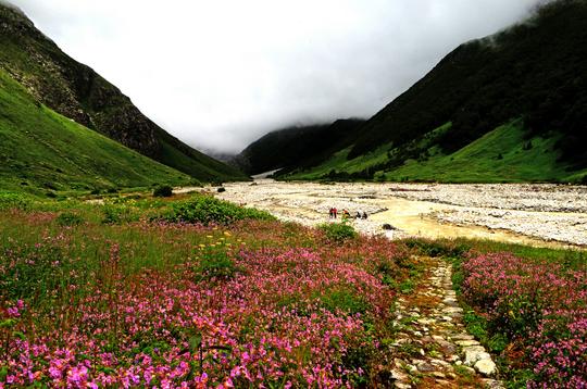 Hemkund Sahib Trek Image