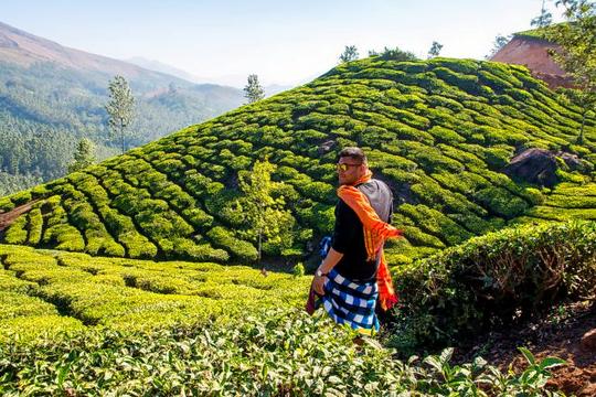 Neelakurinji Trek Image