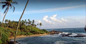 7sen86m1ai0aiscljhej09dlz9aa 1562164582 weligam