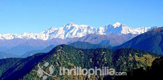 Rhododendron Trek Image