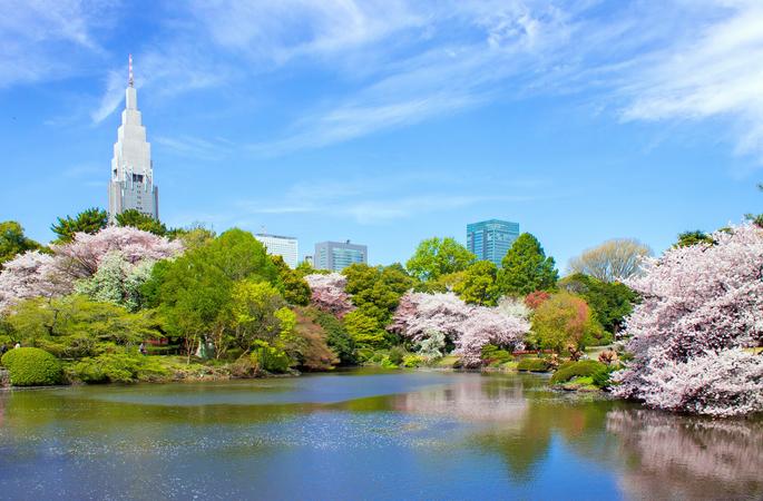 Shinjuku Gyoen