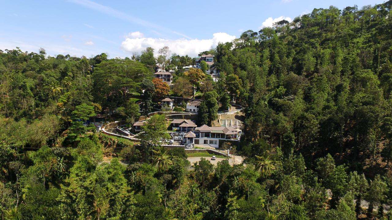 Ariel View of Forest Canopy, Thekkady