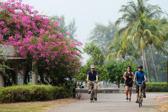 East Coast Park Cycling Image