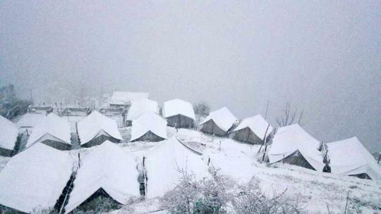 Camping In Dhanolti Near Mussoorie Image