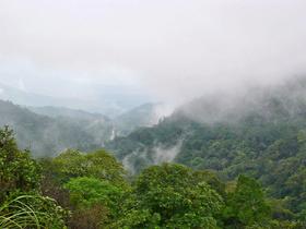 80jbcnyp2f8y5whe3l3ztkbrwruc 1552978851 malom