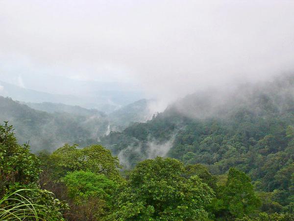 Malom Wildlife Sanctuary