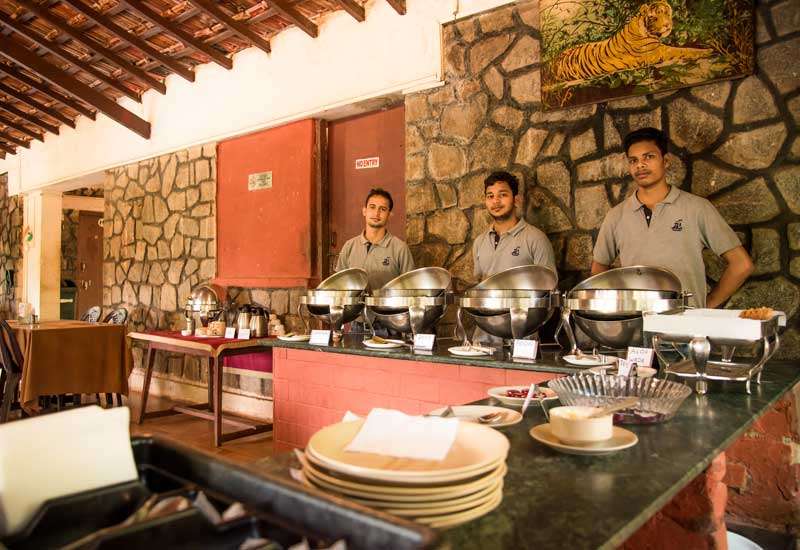 An Adventurous Resort Stay into the Woods of Dandeli Image