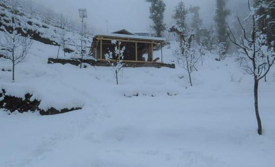 Riverside Camping In Jibhi Image