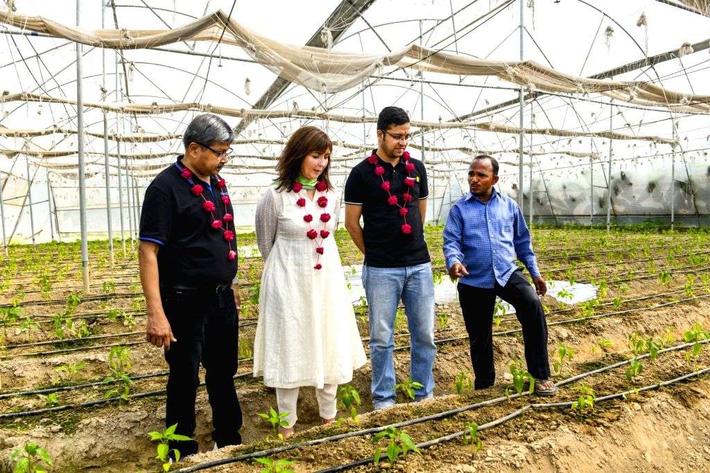 Mud Fort In Kuchesar Image