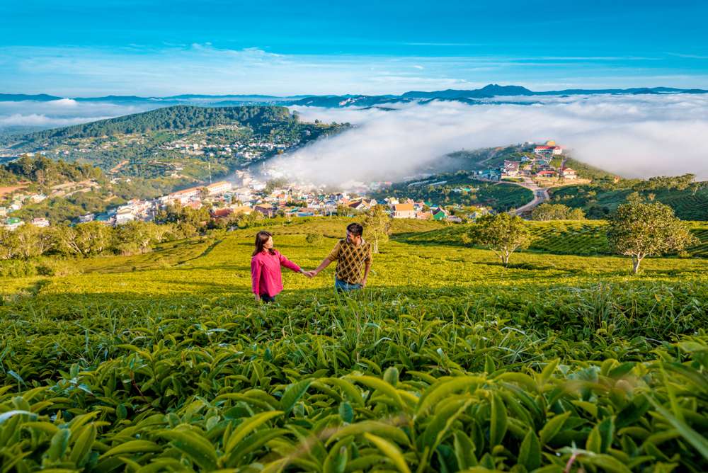 Couple posing for a photo at tea estates in Munnar