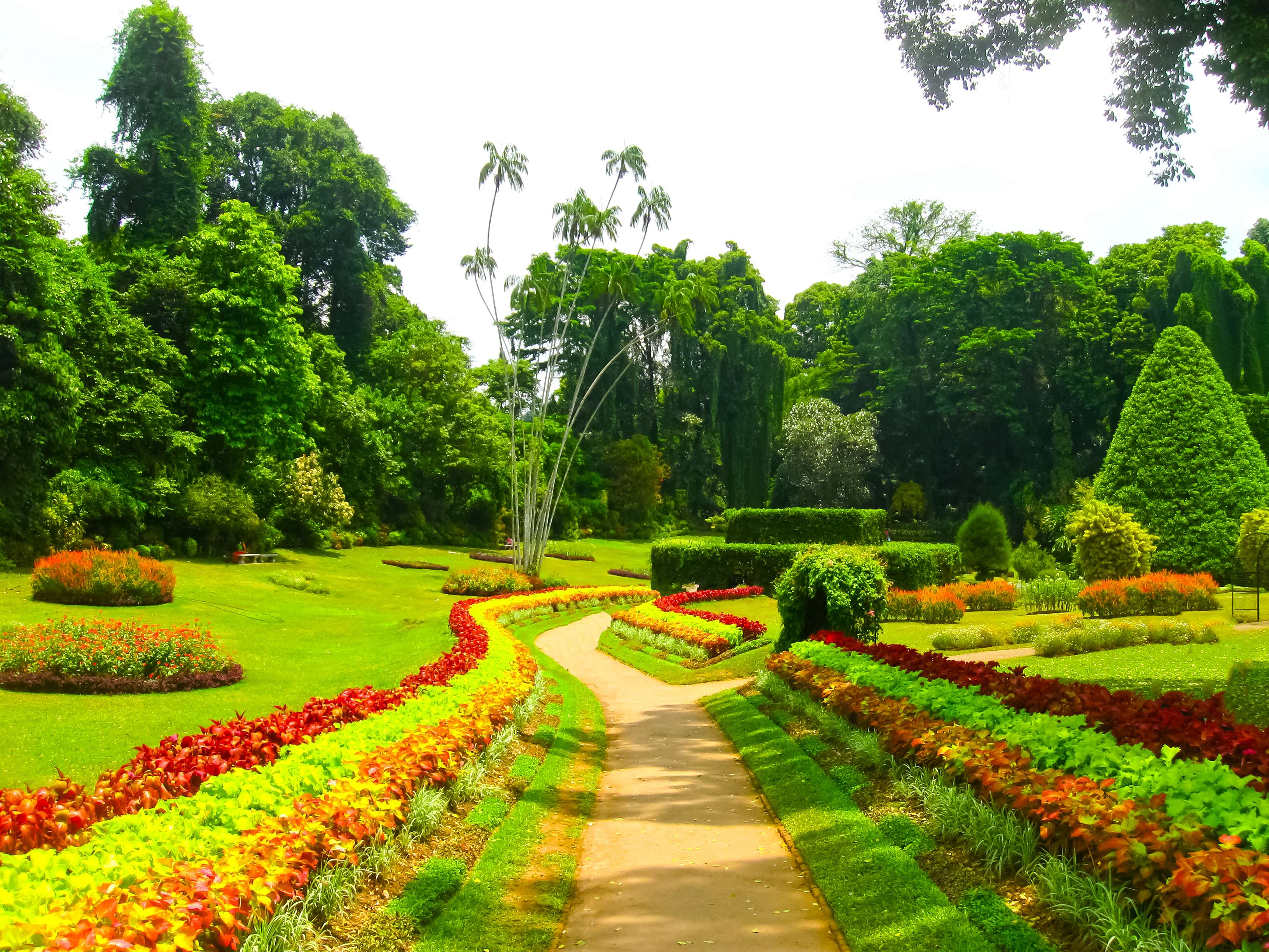 Peradeniya Royal Botanical Gardens