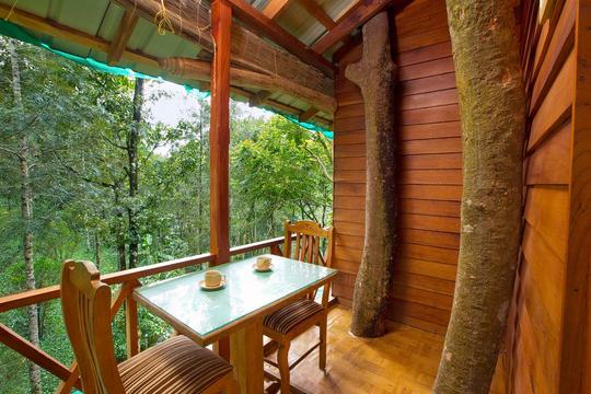 Dream Catcher Resort Munnar Image