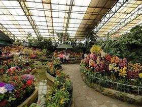 83u4axp0rghsltdzewmcjxvui6zw qnfe3qepthcu