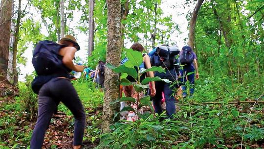 Day Trip to Yelagiri from Chennai Image